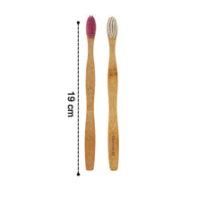 Toothbrush-06 - Indigenous Shop