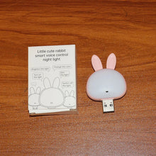 Voice-control-night-light-08 - Indigenous Shop