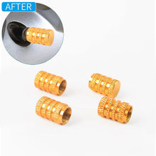 valve-cap-04_f4ba00c8-d9c8-4fe8-afb2-0db219360da0 - Indigenous Shop